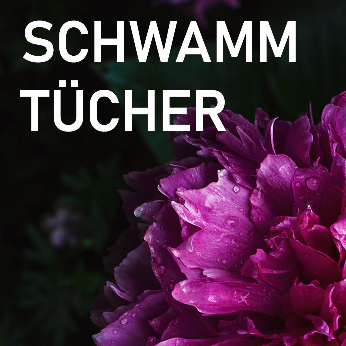 SCHWAMMTÜCHER