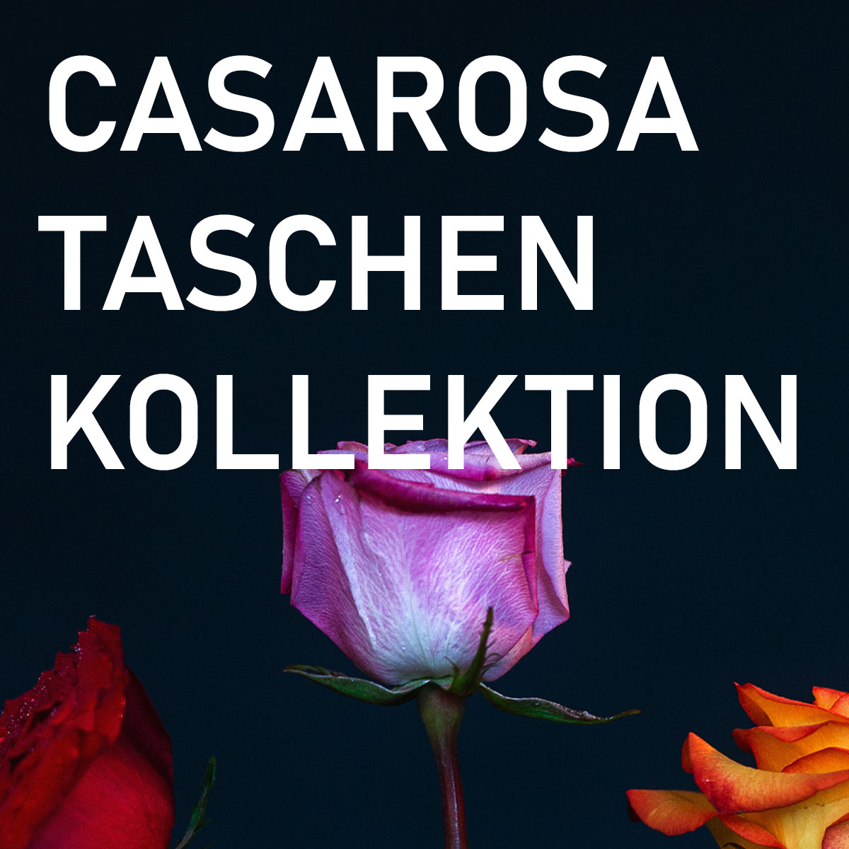 CASAROSA TASCHEN-KOLLEKTION