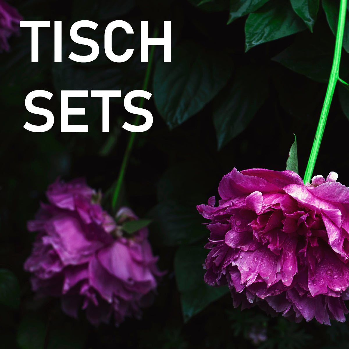 TISCHSETS