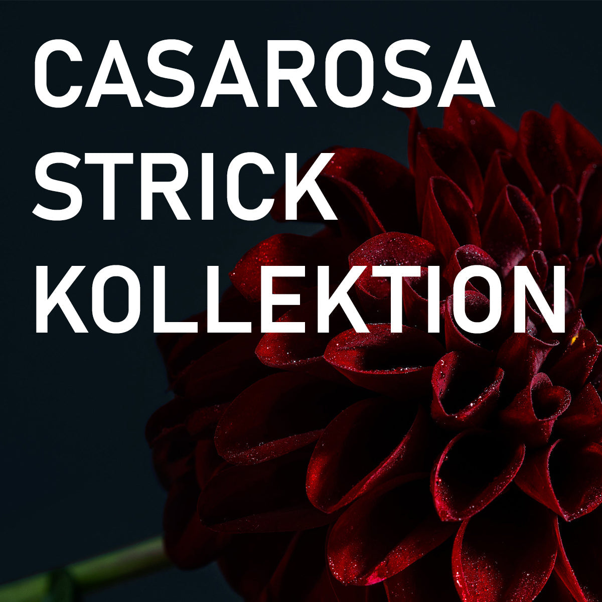 CASAROSA STRICK-KOLLEKTION