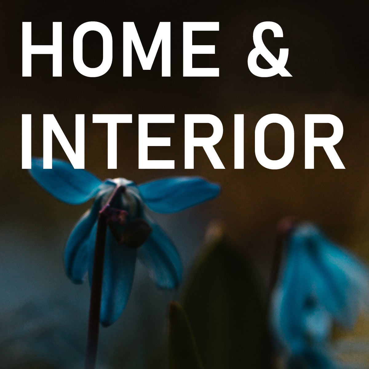 HOME & INTERIOR