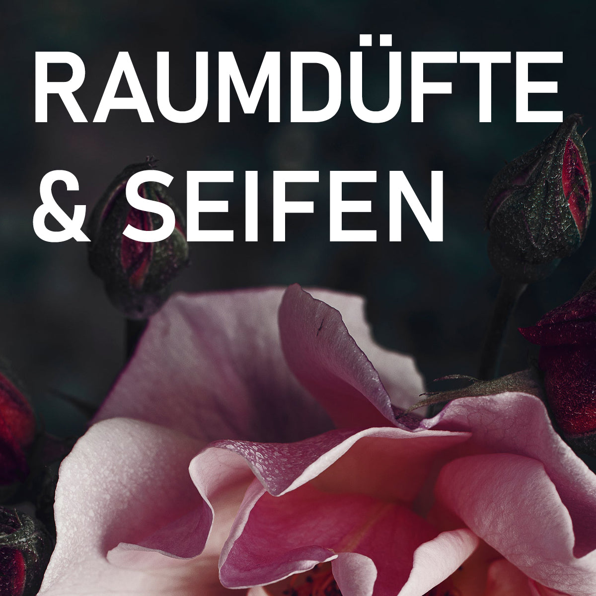 RAUMDÜFTE & SEIFEN