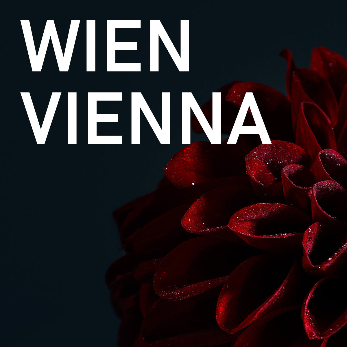 WIEN I VIENNA