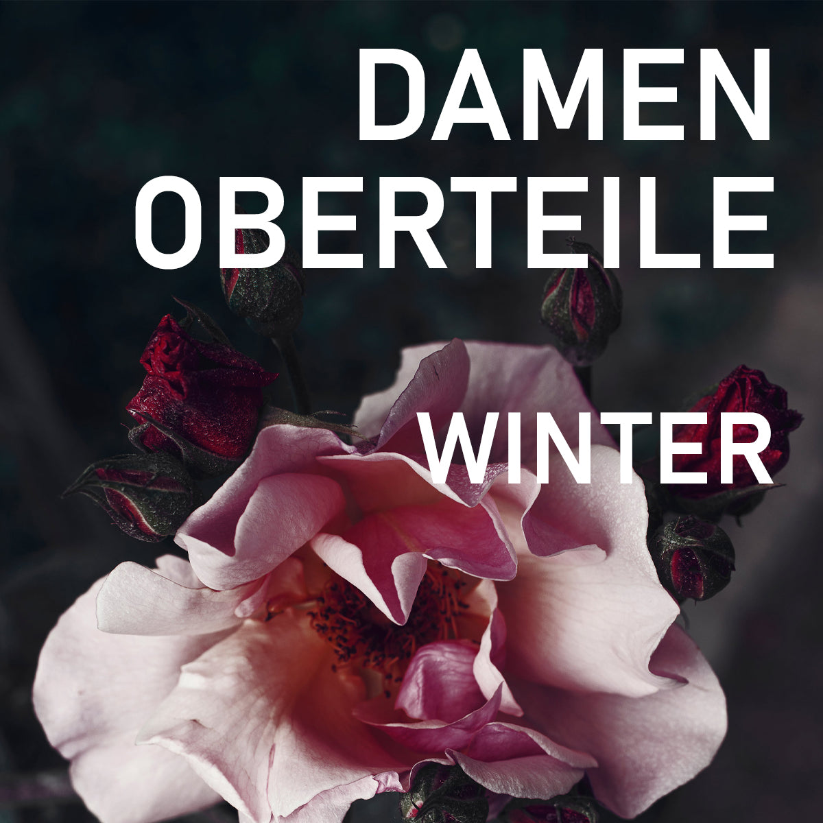 OBERTEILE Winter