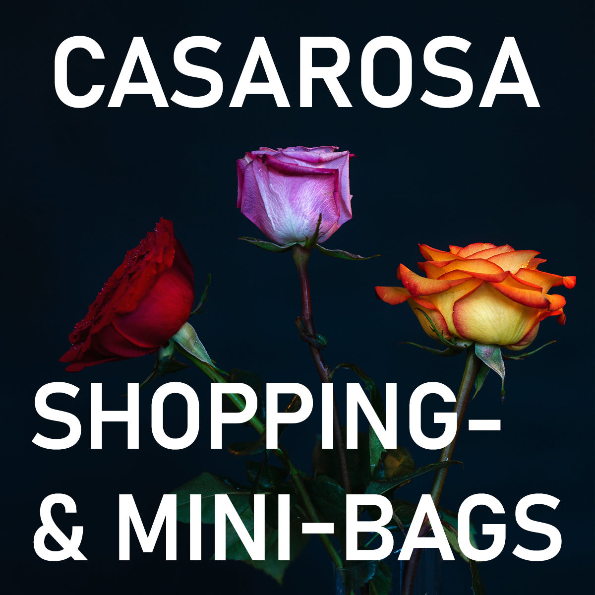 SHOPPING- & MINI-BAGS