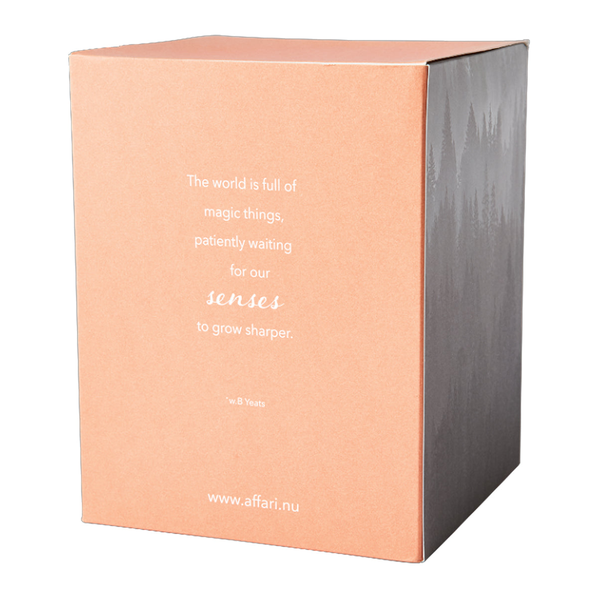 SENSE Duftkerze mit Glas-Glocke Blood Orange I Blutorange, orange