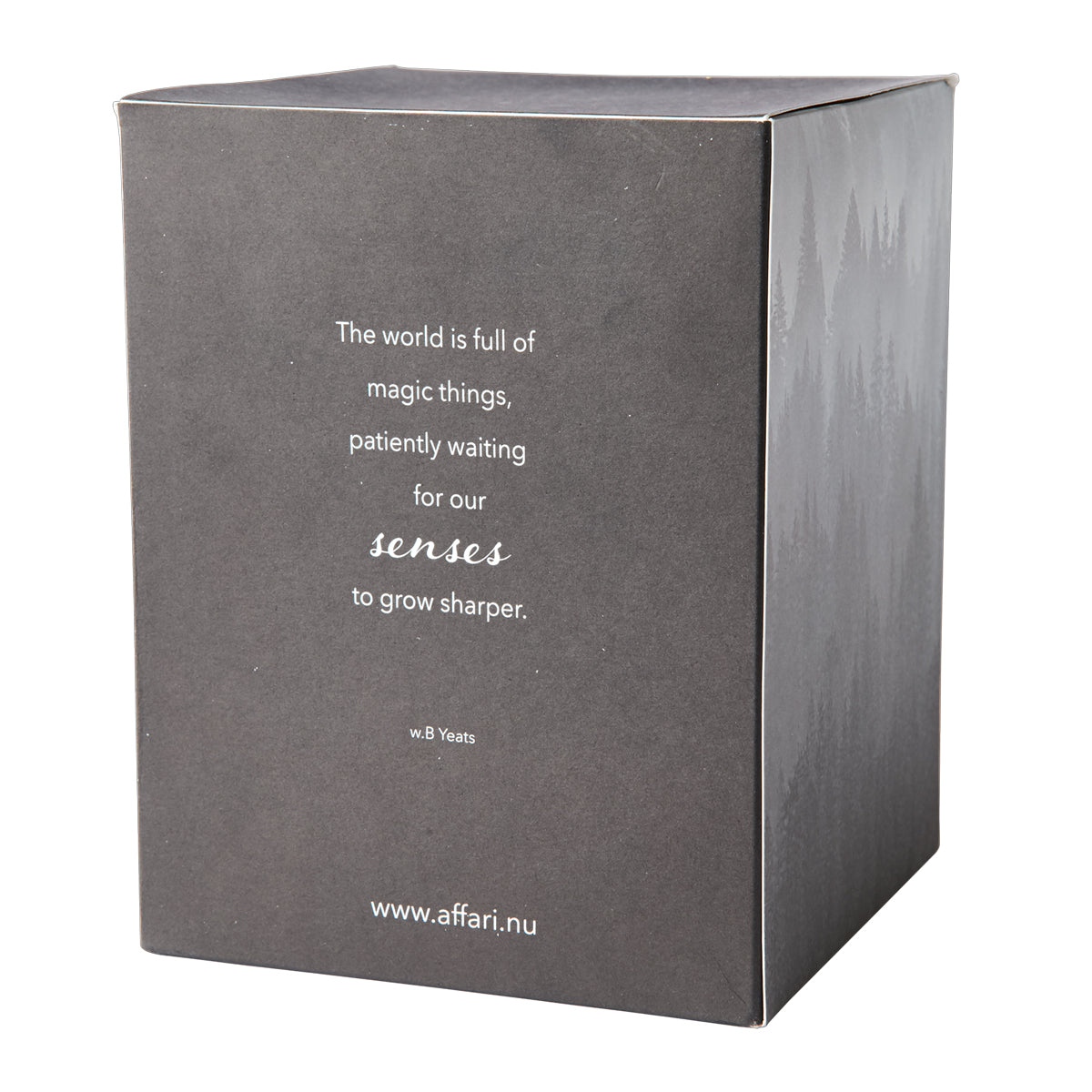 SENSE Duftkerze mit Glas-Glocke Liquorice & Sandalwood I Lakritz & Sandelholz I schwarz