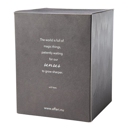 SENSE Duftkerze mit Glas-Glocke Liquorice & Sandalwood I Lakritz & Sandelholz I schwarz